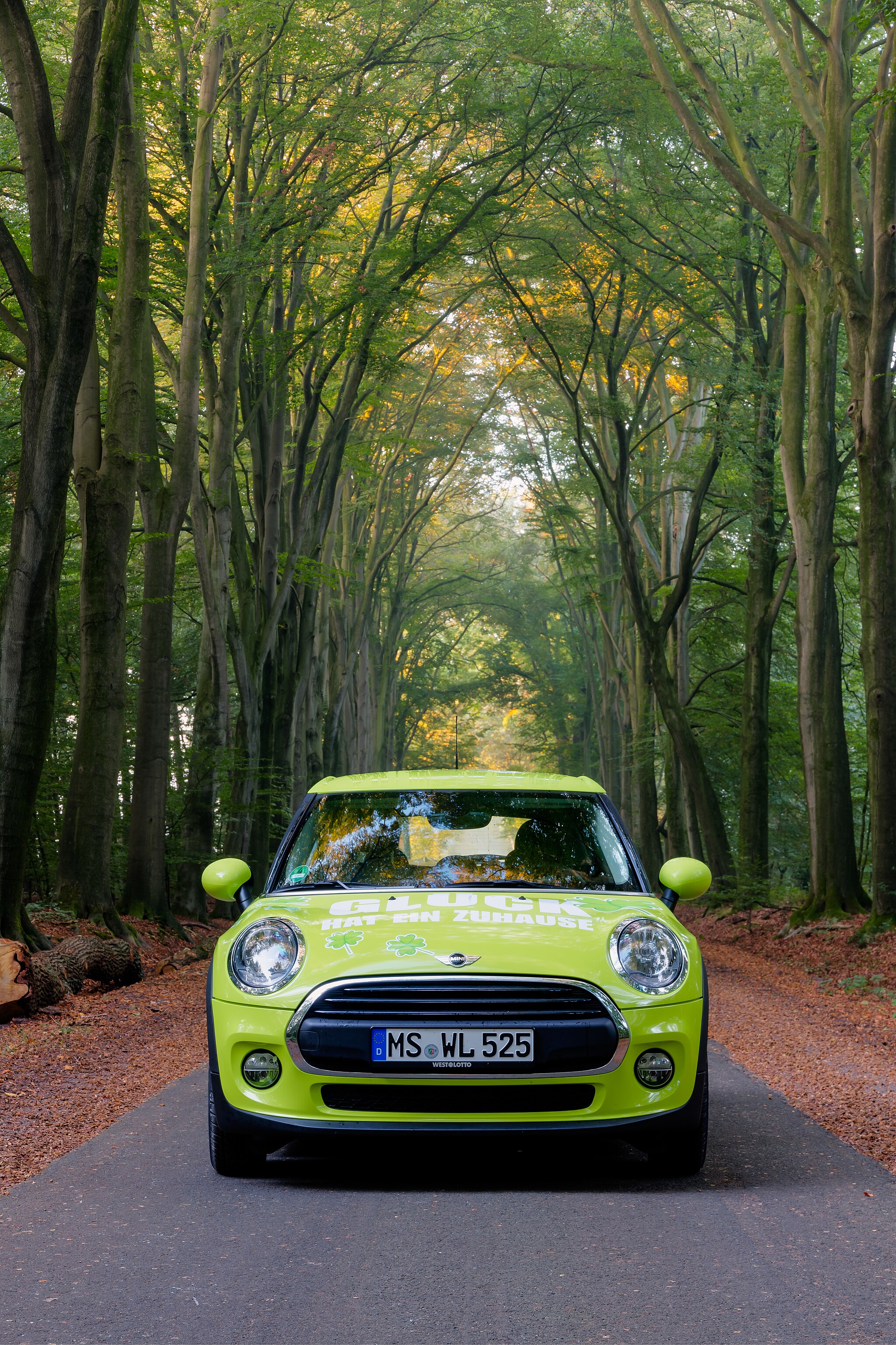Ambassador