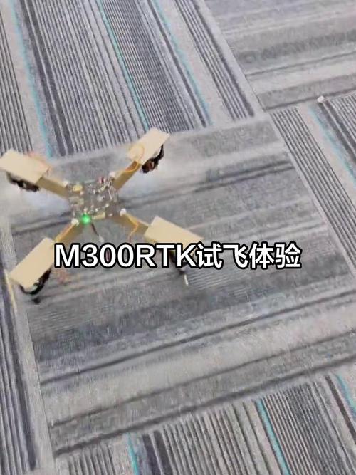 Ambassador