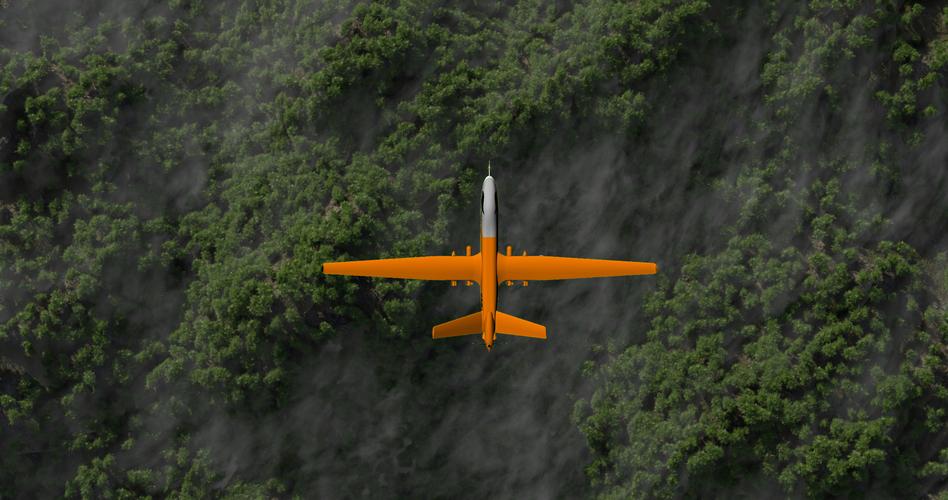 Ambassador