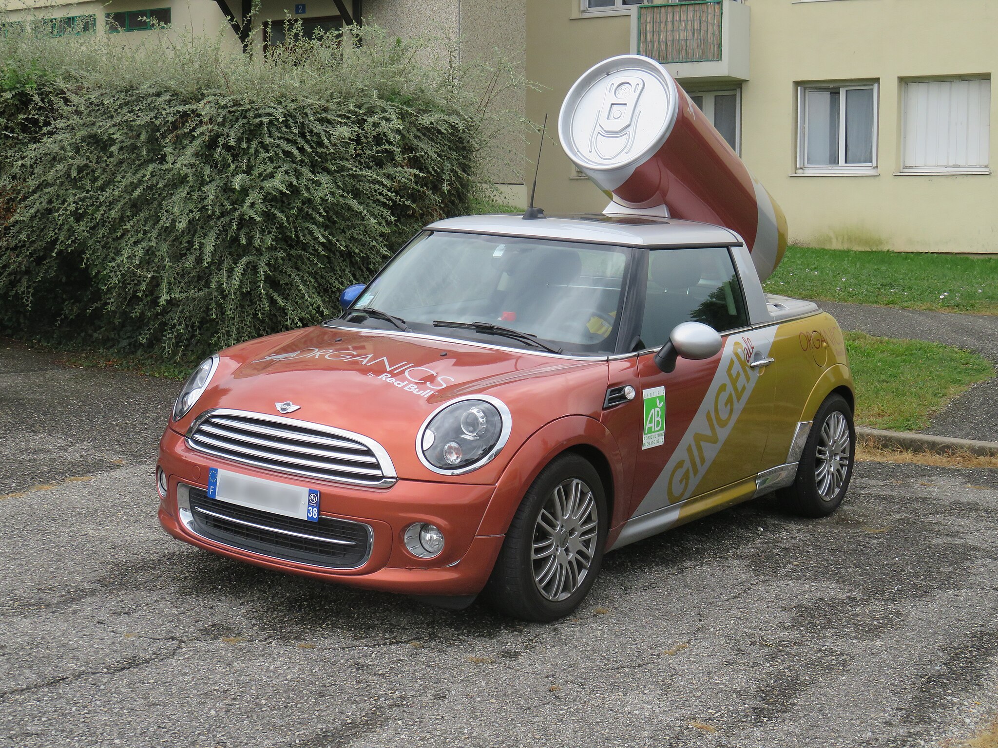 Ambassador