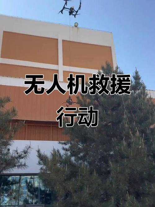 Ambassador